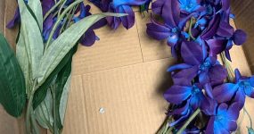 Purple blue galaxy orchid stems